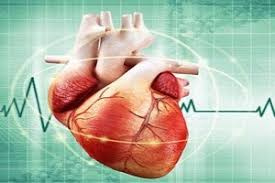 انجام عمل موفقیت آمیز "دایسکشن آئورت قلب" در بیمارستان امیرالمومنین اراک